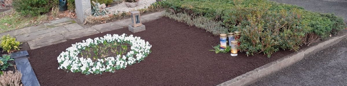 Ruhiger Bereich eines Friedhofs mit Blumen und Sträuchern
