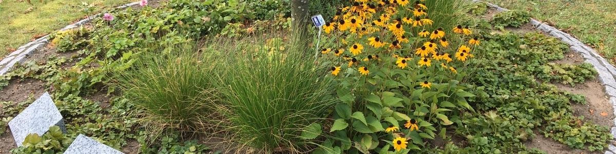 Ein liebevoll gestaltetes Blumenbeet mit Grabsteinen in einer Gedenkstätte