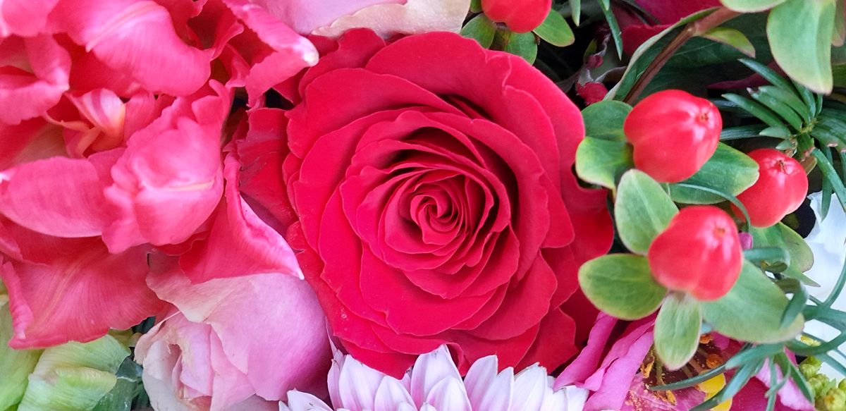 Nahaufnahme einer roten Rose in einem bunten Blumenstrauß