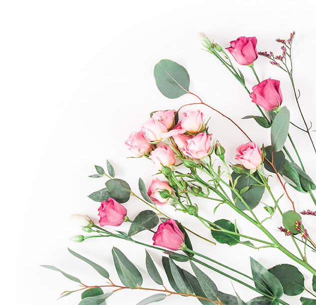 Freigestellte Rosen und Blätter